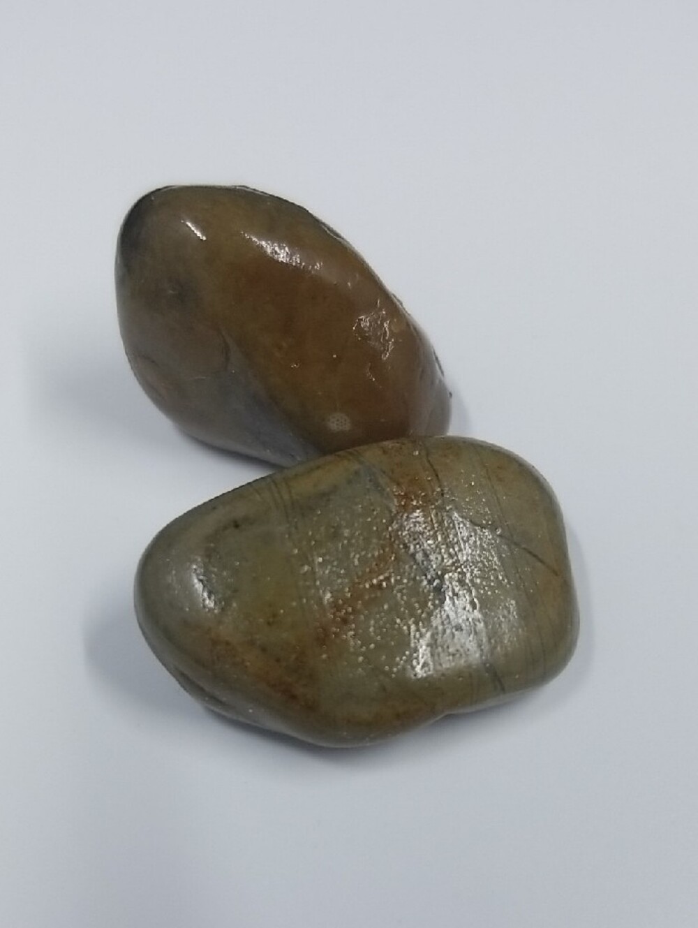 Varnished Rock Specimens - Olive Green and Rust Lot